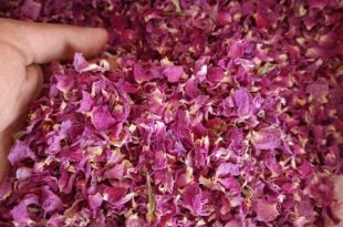 Find Dried petals wholesale in UK