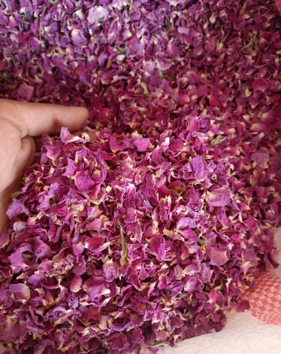 The biggest producter of dried rose petals