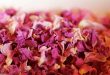 Best Dried Pink Rose Petals Production