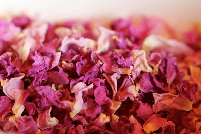 Manufacturers of dried rose petals for sale