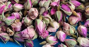 Rosebud Petals Buying Market